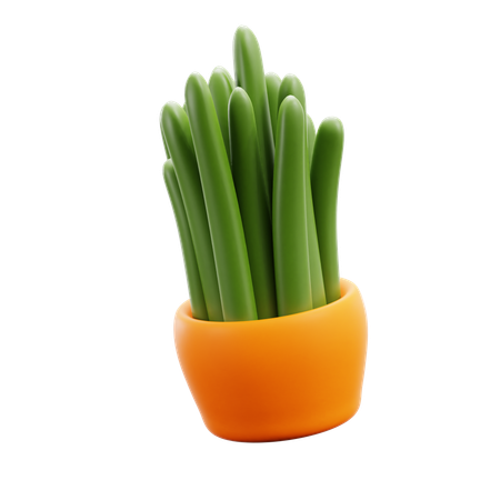 Decorative Plant  3D Icon