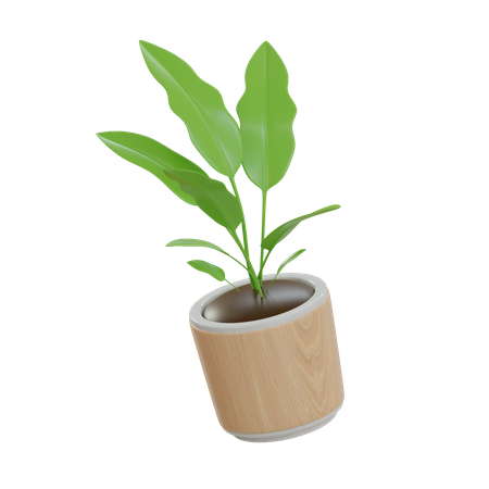 Decorative Plant  3D Icon