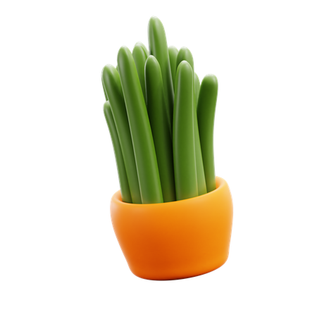 Decorative Plant  3D Icon