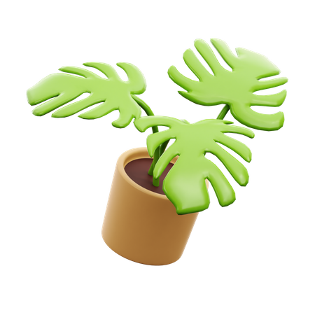 Decorative Plant  3D Icon