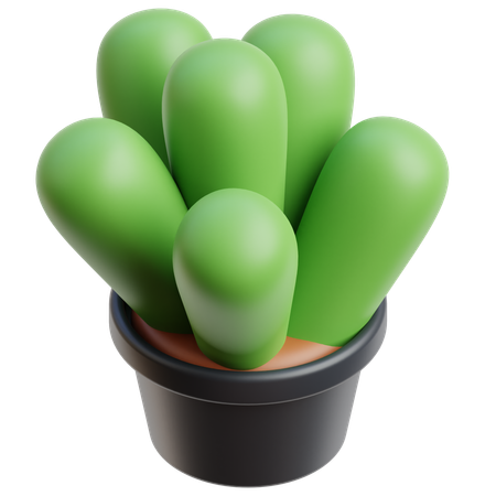 Decorative Plant  3D Icon