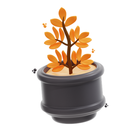 Decorative Plant  3D Icon