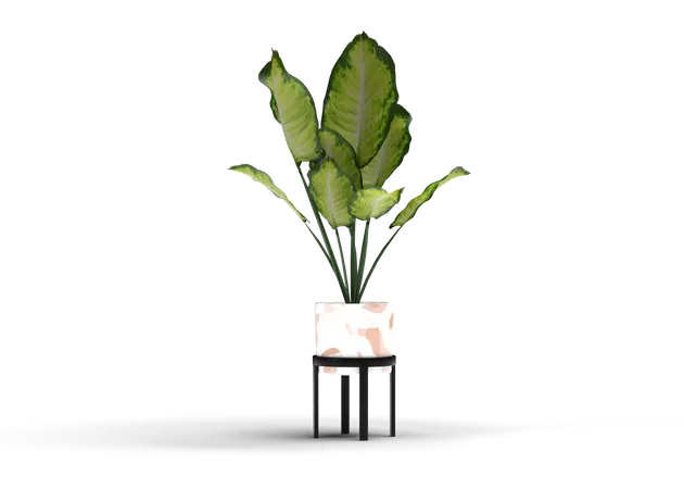 Decorative Plant  3D Illustration