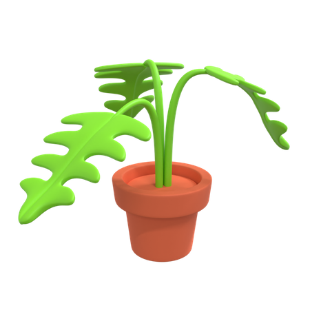 Decorative Plant  3D Illustration