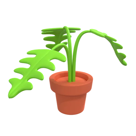 Decorative Plant  3D Illustration