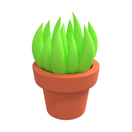 Decorative Plant  3D Illustration