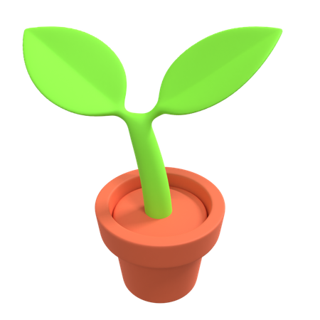 Decorative Plant  3D Illustration