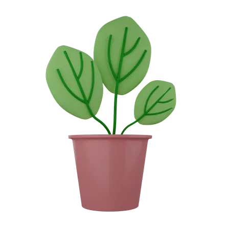 Decorative Plant  3D Illustration