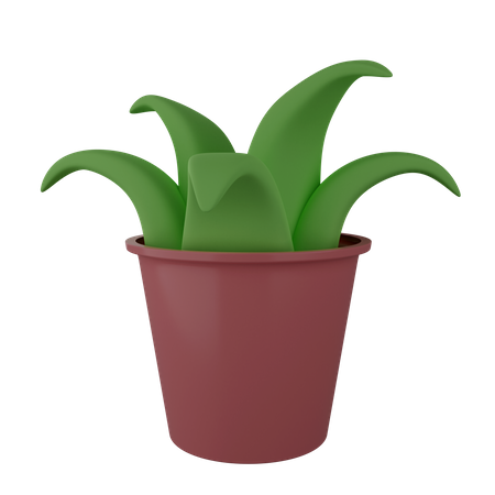 Decorative Plant  3D Illustration