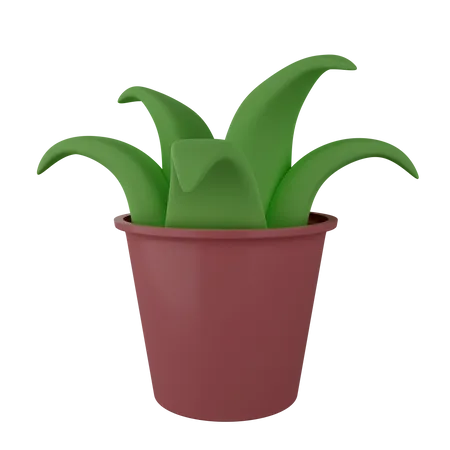 Decorative Plant  3D Illustration