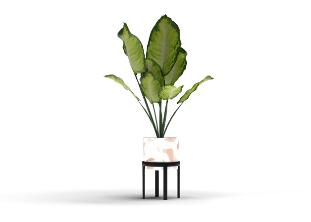 Decorative Plant 3D Illustration
