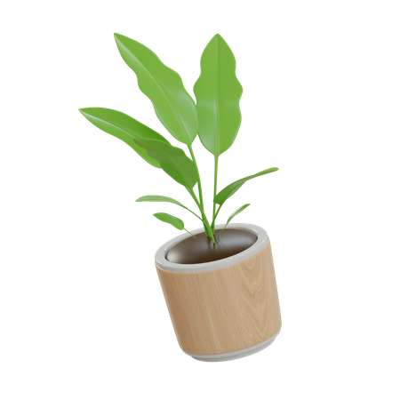 Decorative Plant  3D Icon
