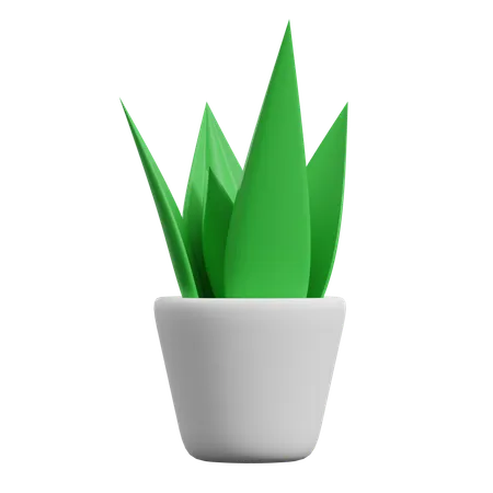 Decorative Plants  3D Icon