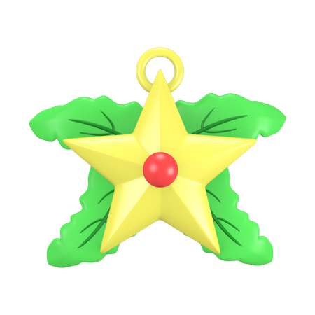 Decorative Star  3D Icon