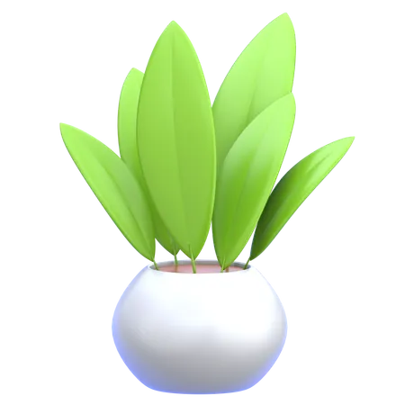 Dekorative Pflanze  3D Icon