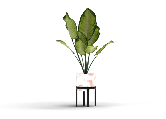 Dekorative Pflanze  3D Icon