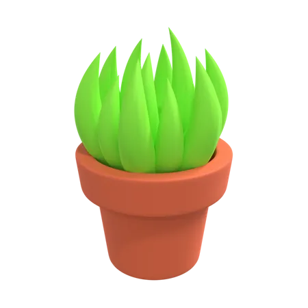 Dekorative Pflanze  3D Illustration