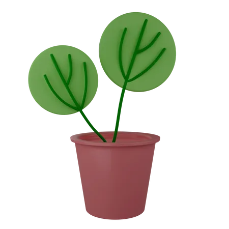Dekorative Pflanze  3D Illustration