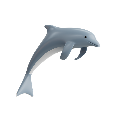 Delfin  3D Icon