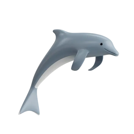 Delfin  3D Icon