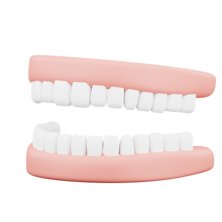 Dentadura  3D Icon