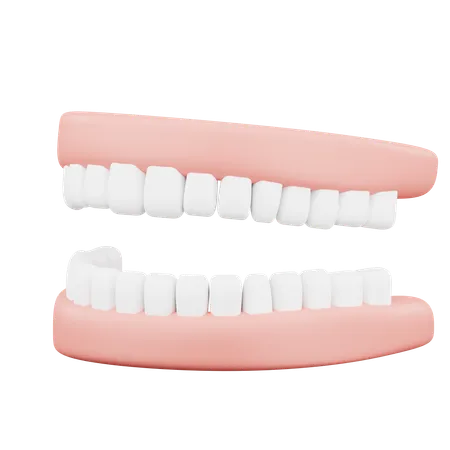 Dentadura  3D Icon