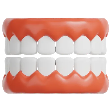 Dentadura  3D Icon