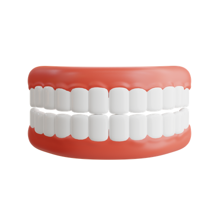 Dentadura  3D Icon