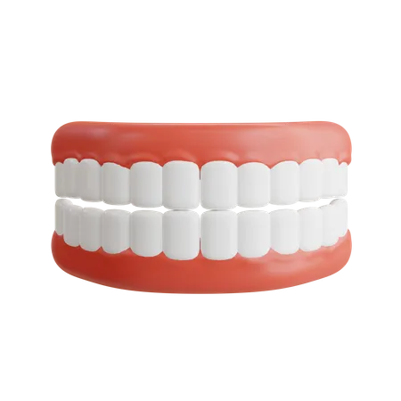 Dentadura  3D Icon