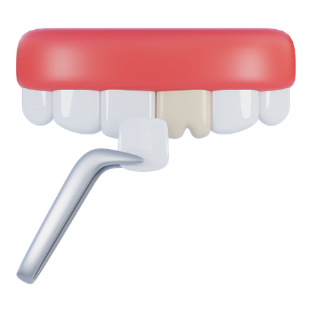 Dental veneer  3D Icon