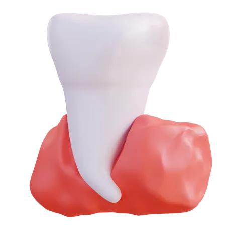 Dente incisivo  3D Icon