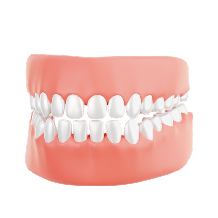 Dentes  3D Icon