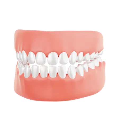 Dentes  3D Icon