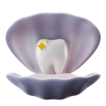 Dentes em concha  3D Icon