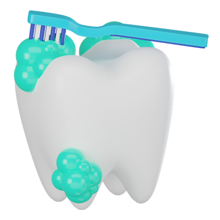 Germes de dentes  3D Icon