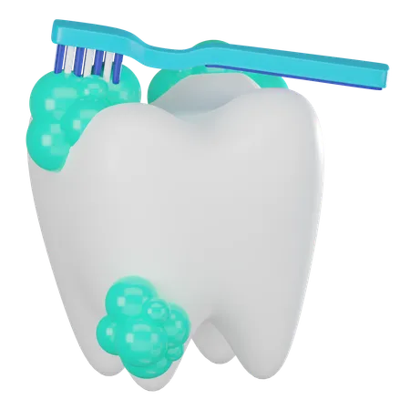 Germes de dentes  3D Icon