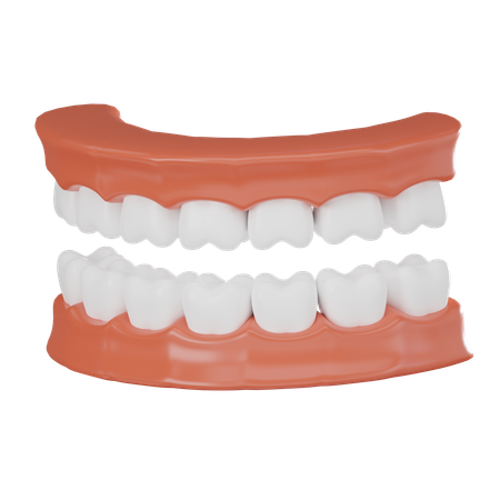 Mandíbula de dentes  3D Icon