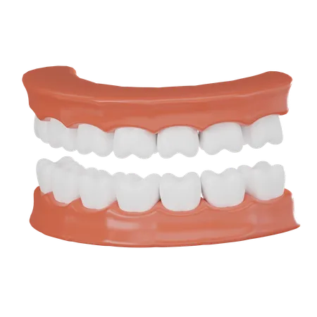 Mandíbula de dentes  3D Icon