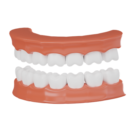 Mâchoire des dents  3D Icon