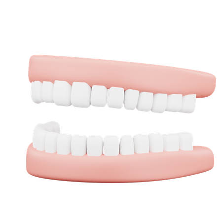 Denture  3D Icon