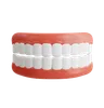 Denture