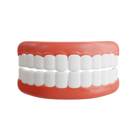 Denture  3D Icon