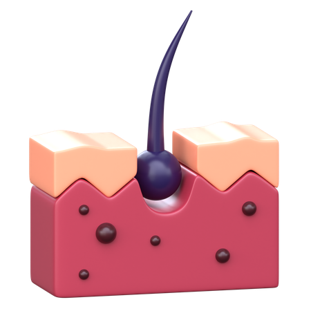 Dermatología  3D Icon