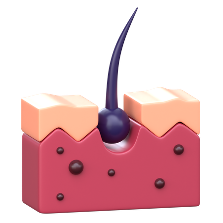 Dermatology  3D Icon