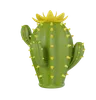 Desert Cactus