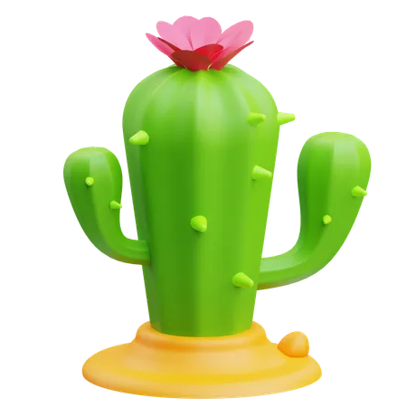 Desert Plant  3D Icon