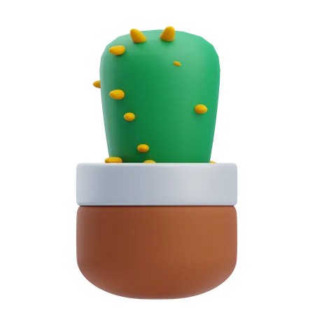 Desk Cactus  3D Icon