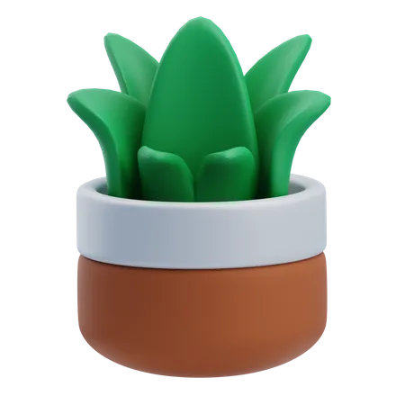 Desk Grass Plant  3D Icon