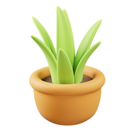 Desk Plant  3D Icon
