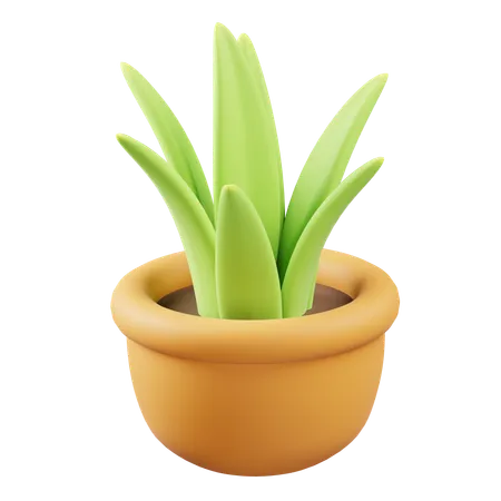 Desk Plant  3D Icon